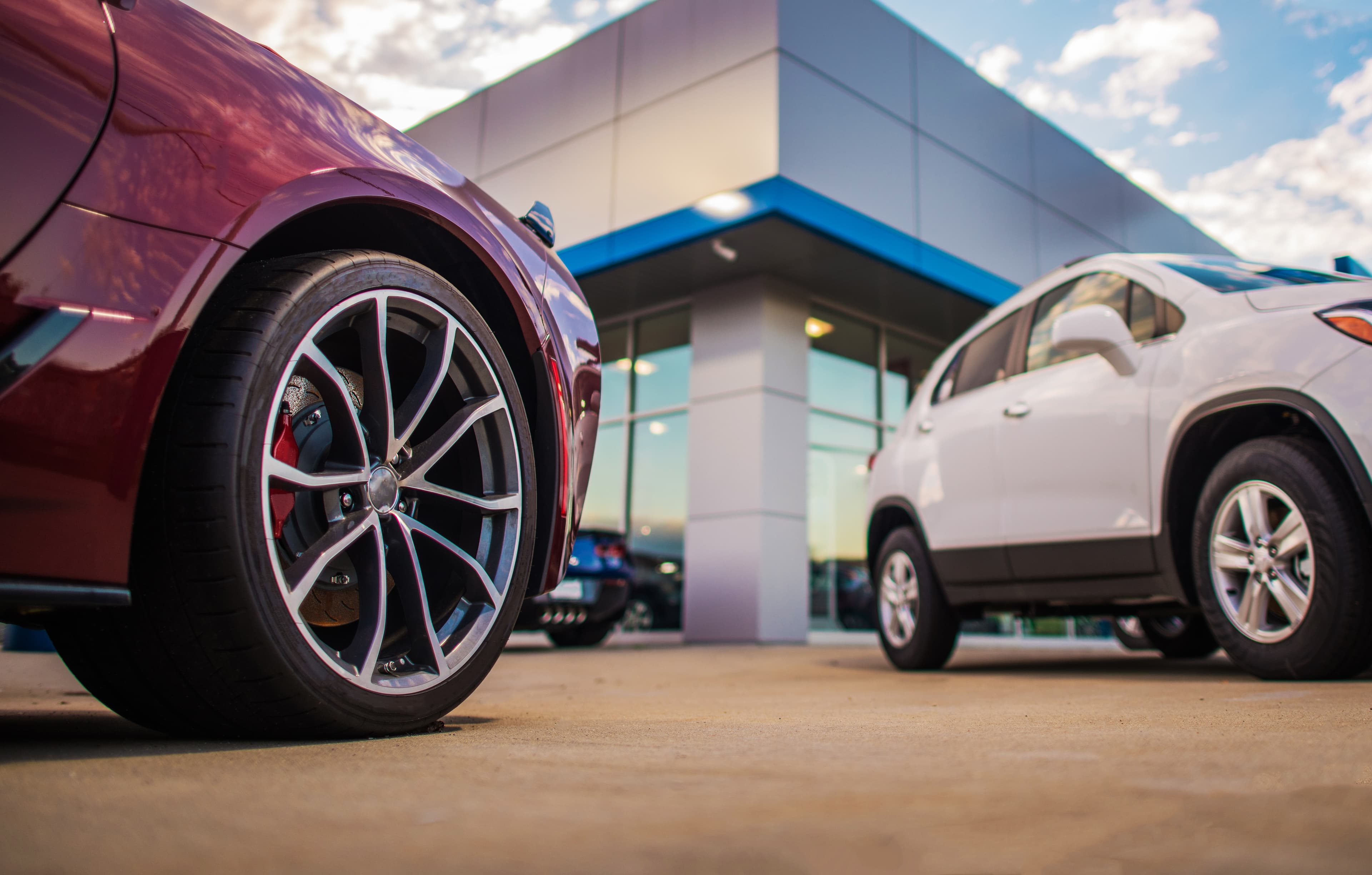 Vehicle Wraps, PPF & Custom Design